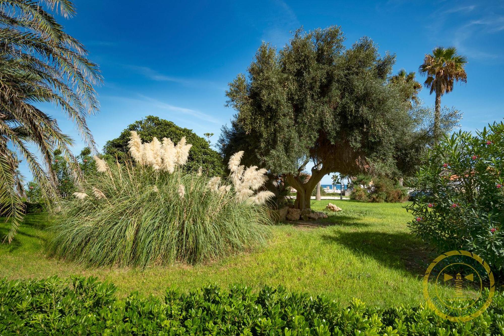 לה מאטה Lighthouse Dunamar מראה חיצוני תמונה